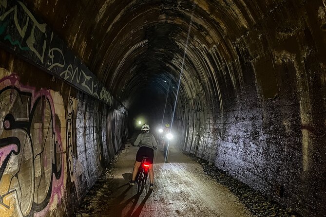 Self Guide E Bike Tour - Husk Distillery, Rainforest & Rail Trail - Starting at Mooball with a prepared e-bike