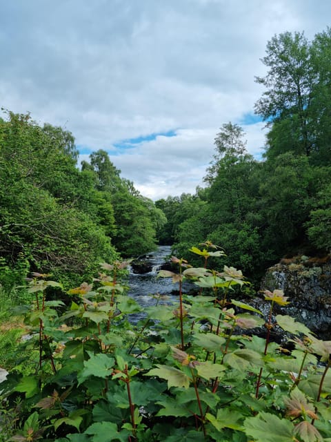 Shore excursion from Invergordon - Castles, Scenery & Whisky - What the $902 private price means