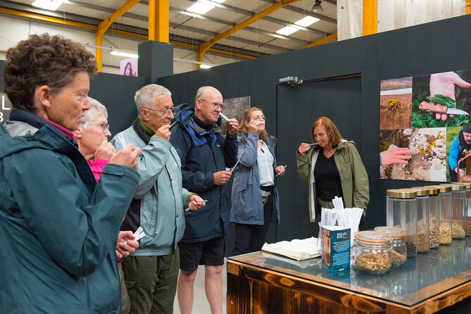 Skellig Six18 Distillery Tours - What the 50-minute visit covers