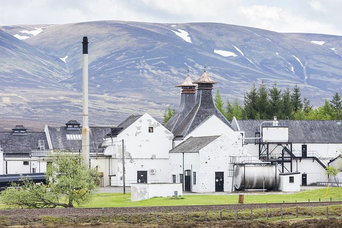 Speyside Whisky Experience - The Macallan: modern design and a major whisky name