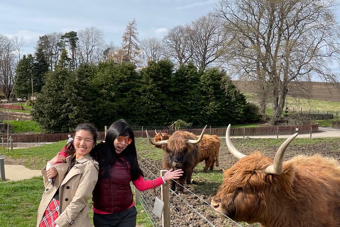 Speyside Whisky Tour - Choosing between famous names and smaller distilleries