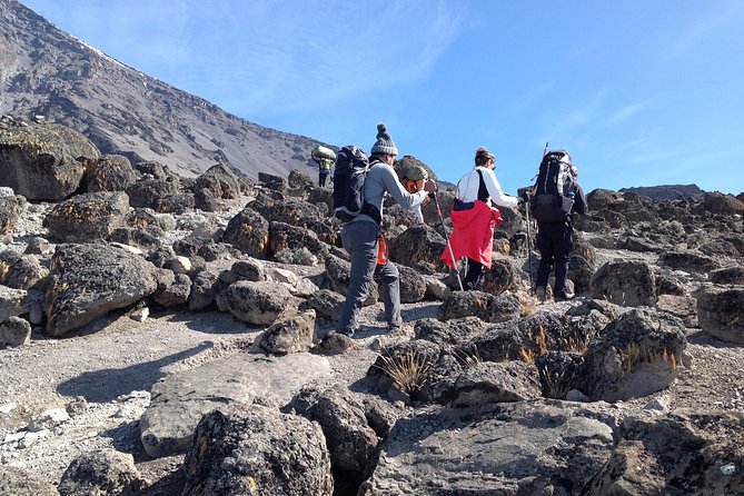 The best 6-Days Kilimanjaro hiking (Machame route)whiskey route - Day 1: Machame Gate to the forest and Machame Hut
