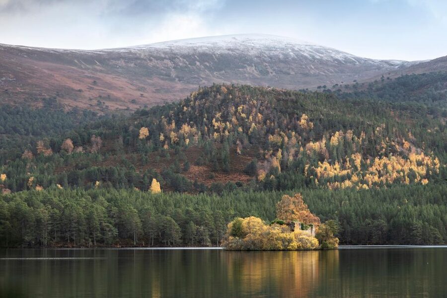 The Cairngorms, Culloden, and Speyside Whisky Tour - Key points to know before booking