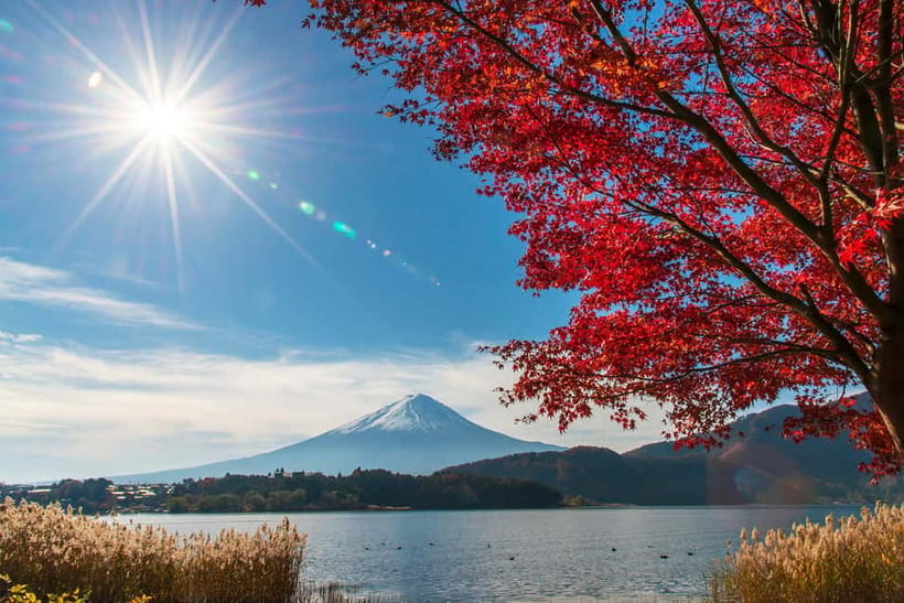 Tokyo: Mt. Fuji 5th St. & Hakushu Distillery Whisky Museum - Climbing to Mt. Fujis 5th Station