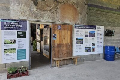 Tour Guide of an Essential Oil Distillery in the Drôme