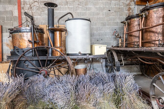 Tour Guide of an Essential Oil Distillery in the Drôme - The final stop: more than 300 local products