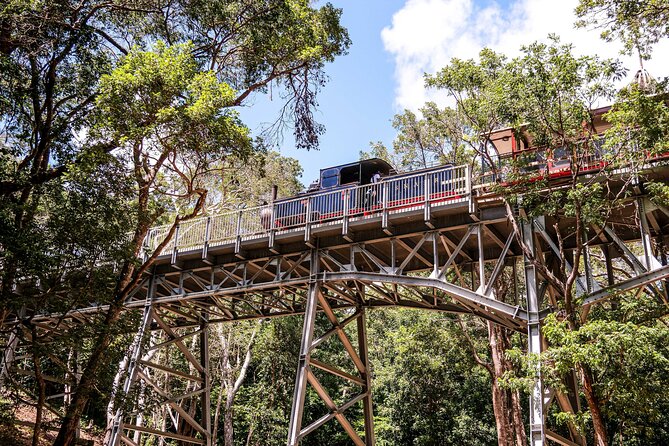 Victorian Steam (Long) Railway Journey+Great House & Distillery - Key points to know before you book