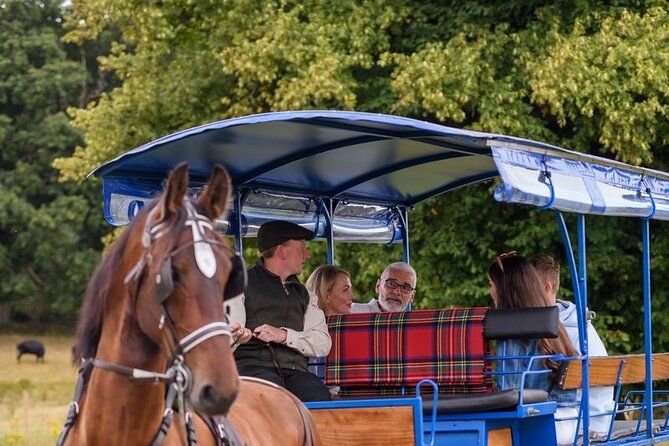 Whiskey & Wonders in Killarney - Why the jaunting car makes Killarney easier