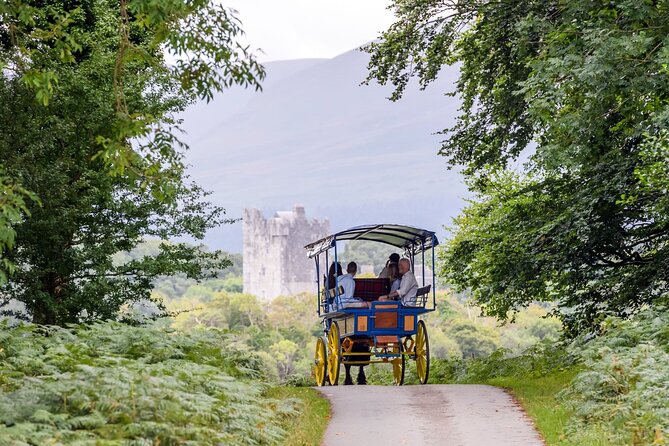Whiskey & Wonders in Killarney - From Killarney streets to the Lakes of Killarney