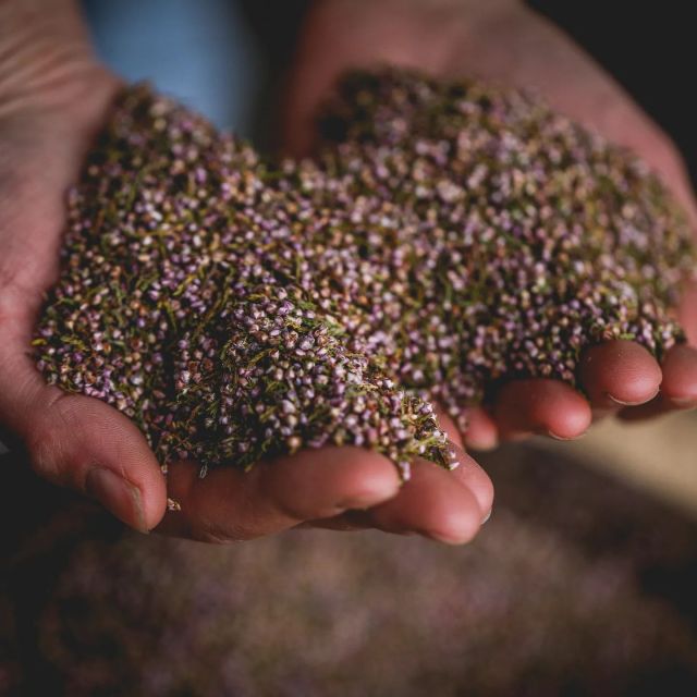 Whitby: Guided Distillery Tour with Gin Tasting - From distillation to hand-finished bottles