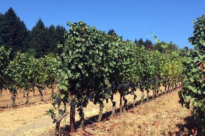 Willamette Valley Wine & Whisky - Timing, road time, and the return to Portland