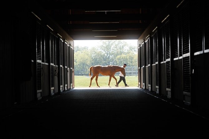 Woodford Reserve, Kismet Thoroughbred Farm & Whiskey Thief - What $275 buys you