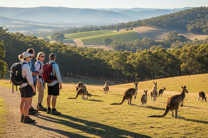 Yarra Valley by night! Private wine, whisky and dinner tour - Key points at a glance