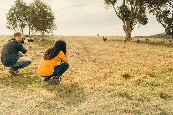 Yarra Valley by night! Private wine, whisky and dinner tour - What guides Craig and Elliot add