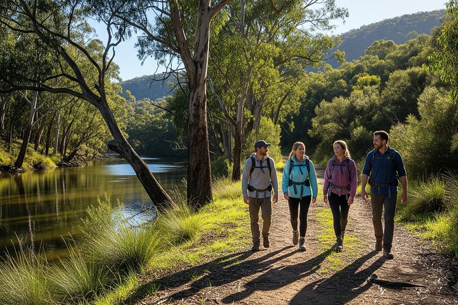 Yarra Valley by night! Private wine, whisky and dinner tour - Private transport makes the evening easier