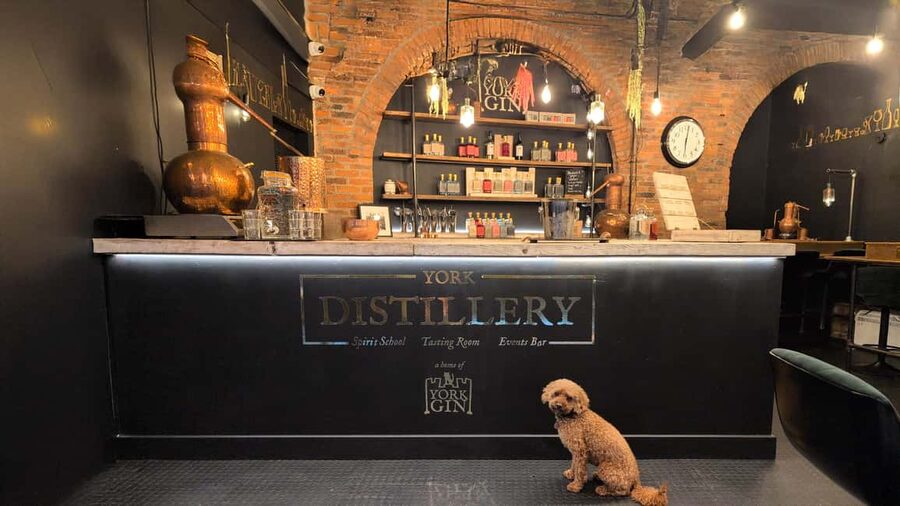 York: Gin Tasting Experience at York Distillery - Entering York Distillery through Middleton’s grounds